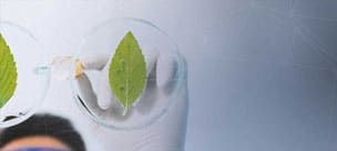 Études de microbiologie environnementale avec les homogénéisateurs Precellys