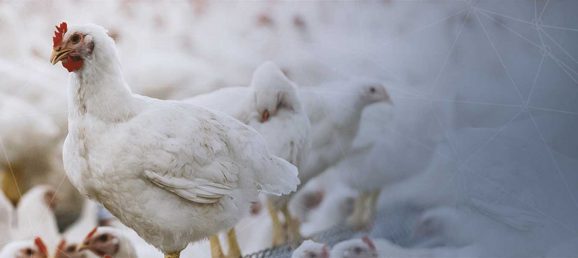 industrie-agroalimentaire-pharmaceutique-vétérinaire