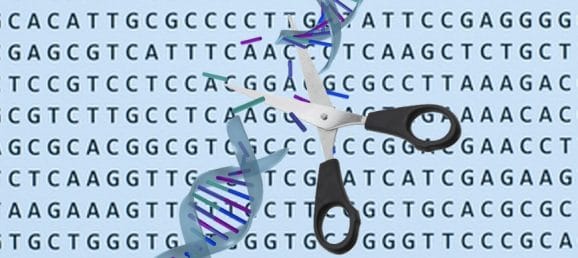 news CRISPR Precellys Homogenizers