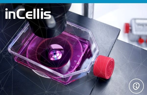 Bonnes pratiques pour le calcul de la confluence de culture cellulaire avec InCellis Bertin Technologies 12884