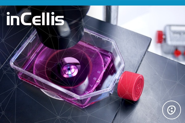 Bonnes pratiques pour le calcul de la confluence de culture cellulaire avec InCellis Bertin Technologies 12884
