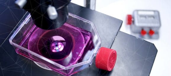 incellis-total-cell-counting