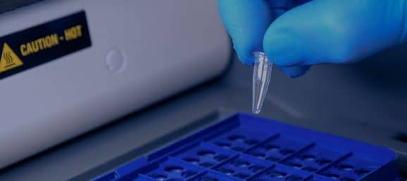 Optimize your PCR workflows with homogenization protocols