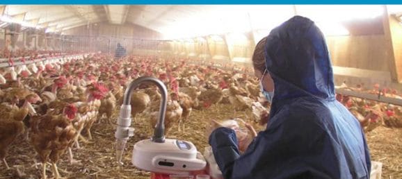 White Paper : Détecter des éléments pathogènes dans des environnements vétérinaires avec les bio-collecteurs d’air Coriolis Bertin Technologies 39807