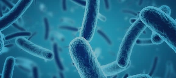 Detection of aerosolized pathogenic bacteria