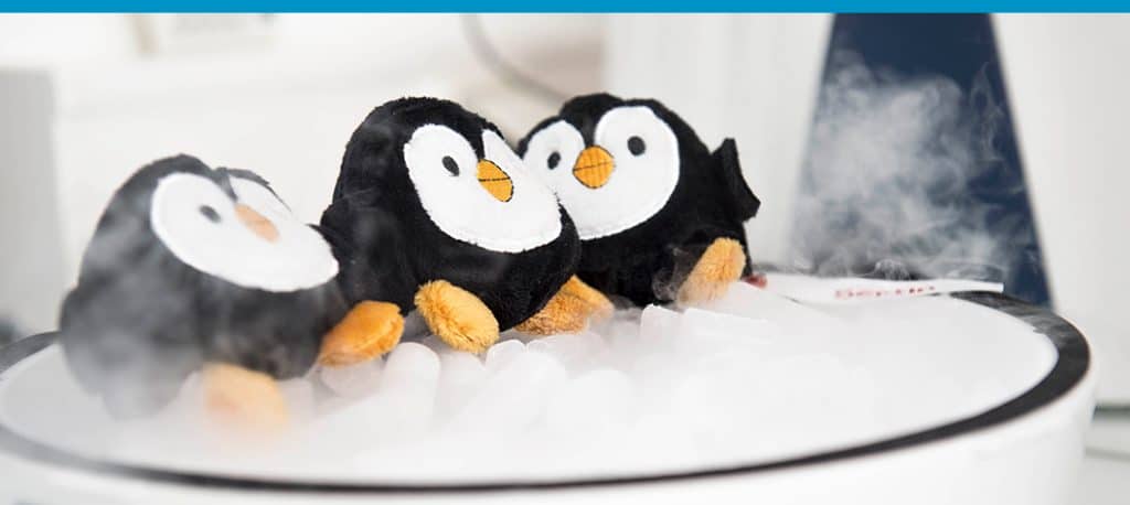 [White Paper] Bonnes pratiques pour vos protocoles de broyage cryogénique Bertin Technologies 41749