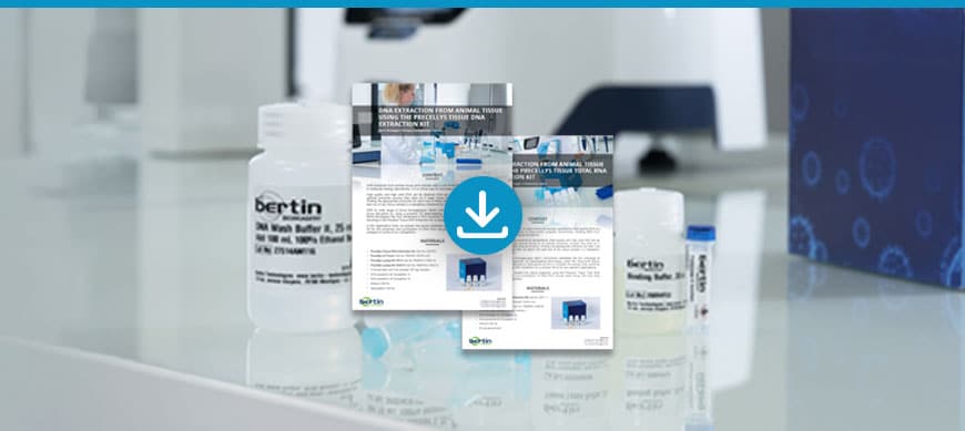 [Notes d’Application] L’extraction d’ADN et d’ARN à partir des tissus animaux avec les kits d’extraction Precellys Bertin Technologies 45320
