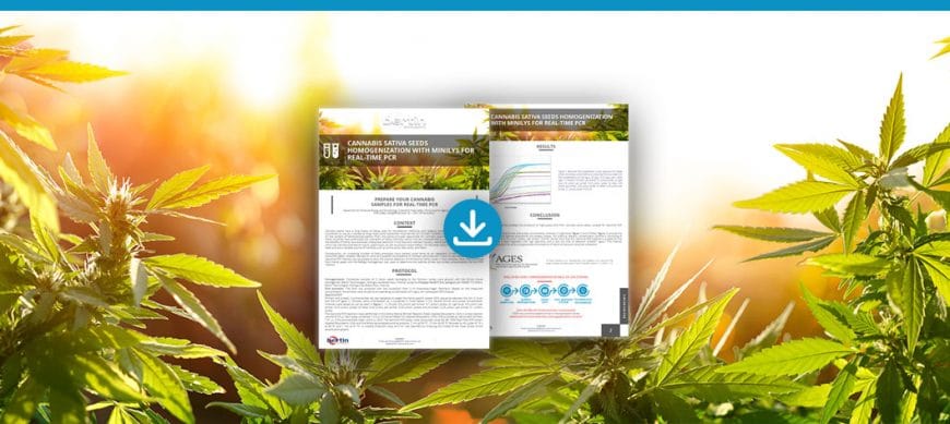 [Note d’application] Homogénéisation des graines de Cannabis sativa avec le Minilys pour la PCR en temps réel Bertin Technologies 47978