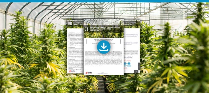 [Note d’application] Analyse des cannabinoïdes dans les échantillons d’ongles et de cheveux grâce à spectrométrie de masse Bertin Technologies 51006