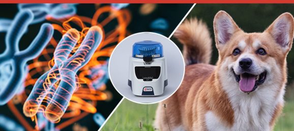 Extraction d’ARN à partir de biopsies de peau normale de chien Bertin Technologies 55234