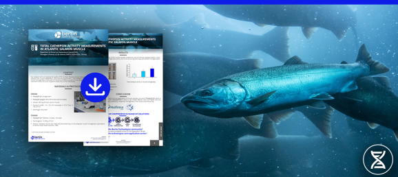 [Note d’application] Mesure de l’activité totale de cathepsine dans le muscle du saumon atlantique Bertin Technologies 58482