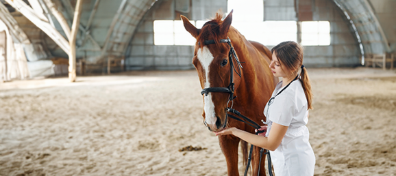 Effective airborne pathogen detection in horse barns