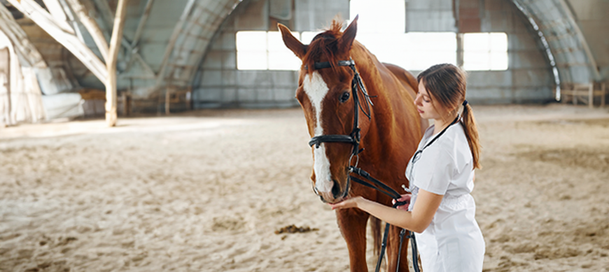 Effective airborne pathogen detection in horse barns