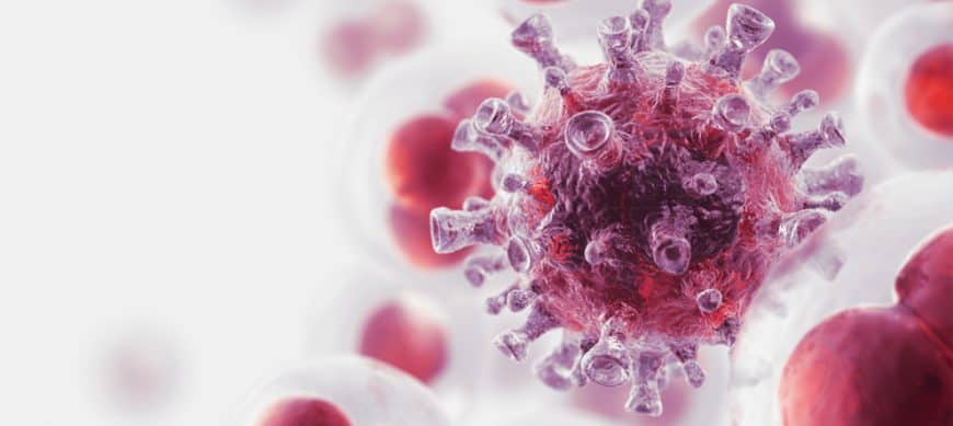 Winlight System et AIP développent un outil de diagnostic optique pour le cancer Bertin Technologies 73202