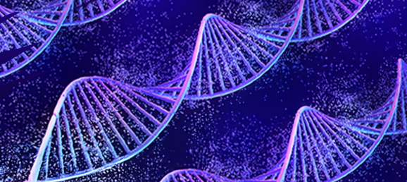 [WHITE PAPER] Meilleures pratiques pour la recherche sur l’ARN et l’ADN avec Precellys Bertin Technologies 74537