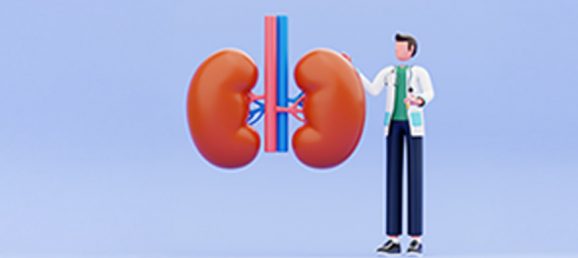 Protein-fraction-from-normal-and-cystic-kidneys-precellys-article-1-1.jpg