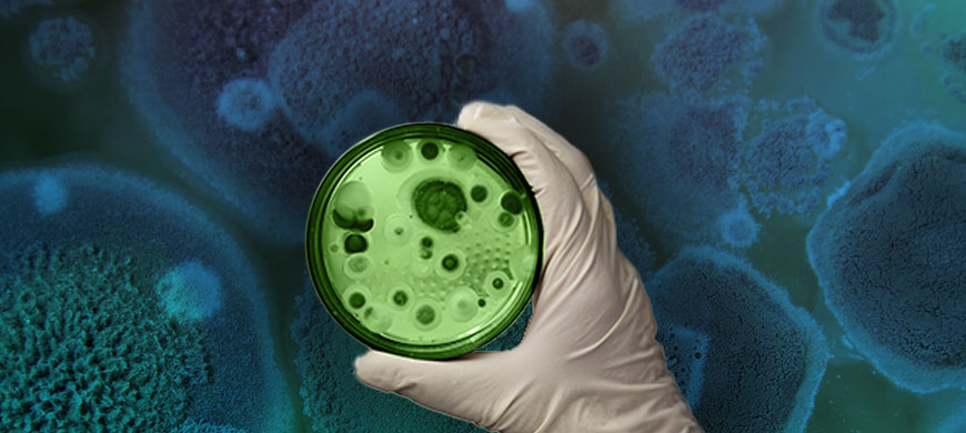 Mold Detection: Coriolis+ vs Coriolis Compact moisissure