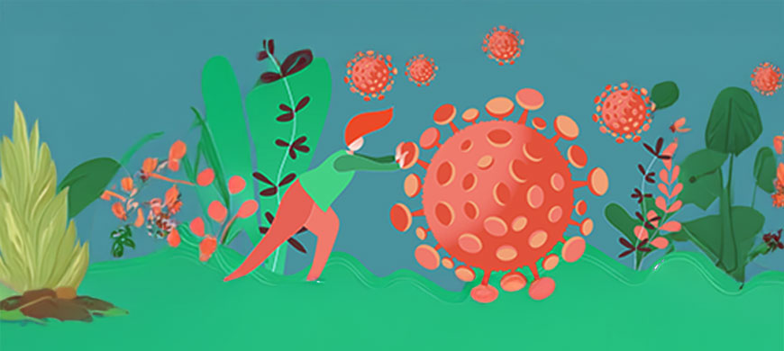 CELEBRATE BIODIVERSITY DAY