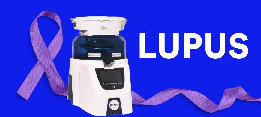 MMP‑9 : un nouvel allié contre les complexes immunitaires dans le lupus Bertin Technologies 82770