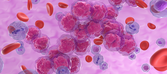 Révélez toute la complexité des neutrophiles sans les activer avec Myelotracker Bertin Technologies 96173