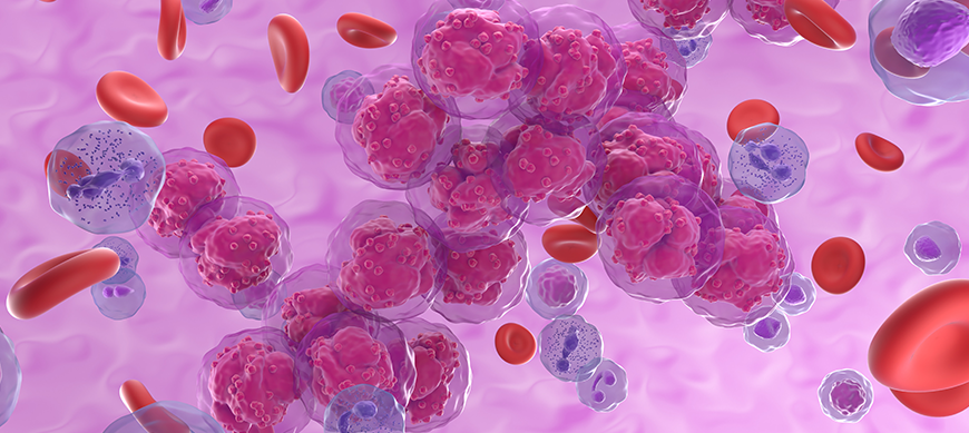 Révélez toute la complexité des neutrophiles sans les activer avec Myelotracker Bertin Technologies 96173